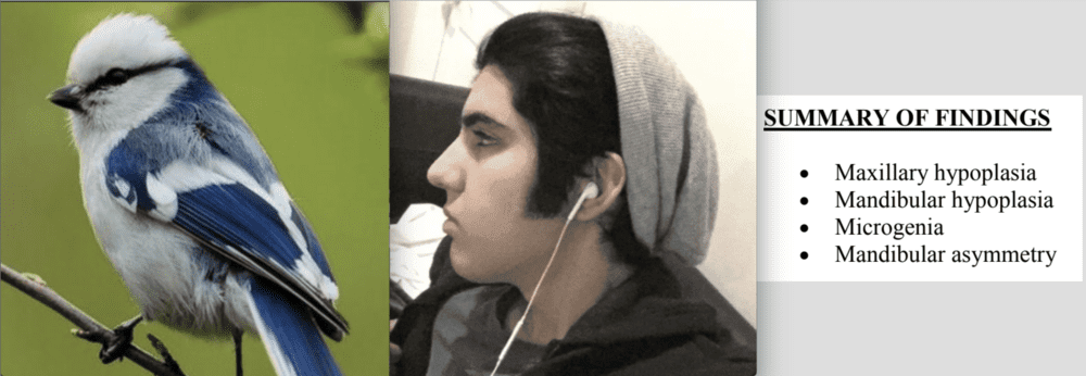 Screen Shot 2020 03 13 at 42726 PM