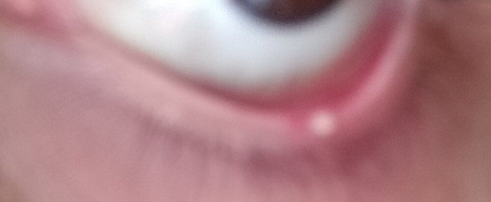 IMG 20200314 1255382