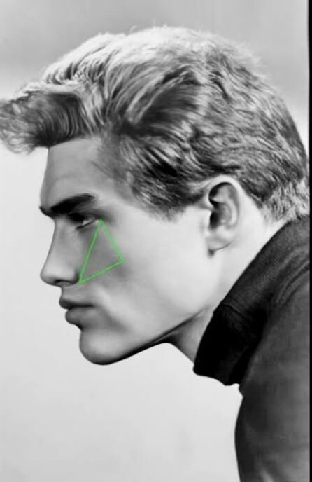 JamesDeanIsSubhumanMorphedByOwlGodLol