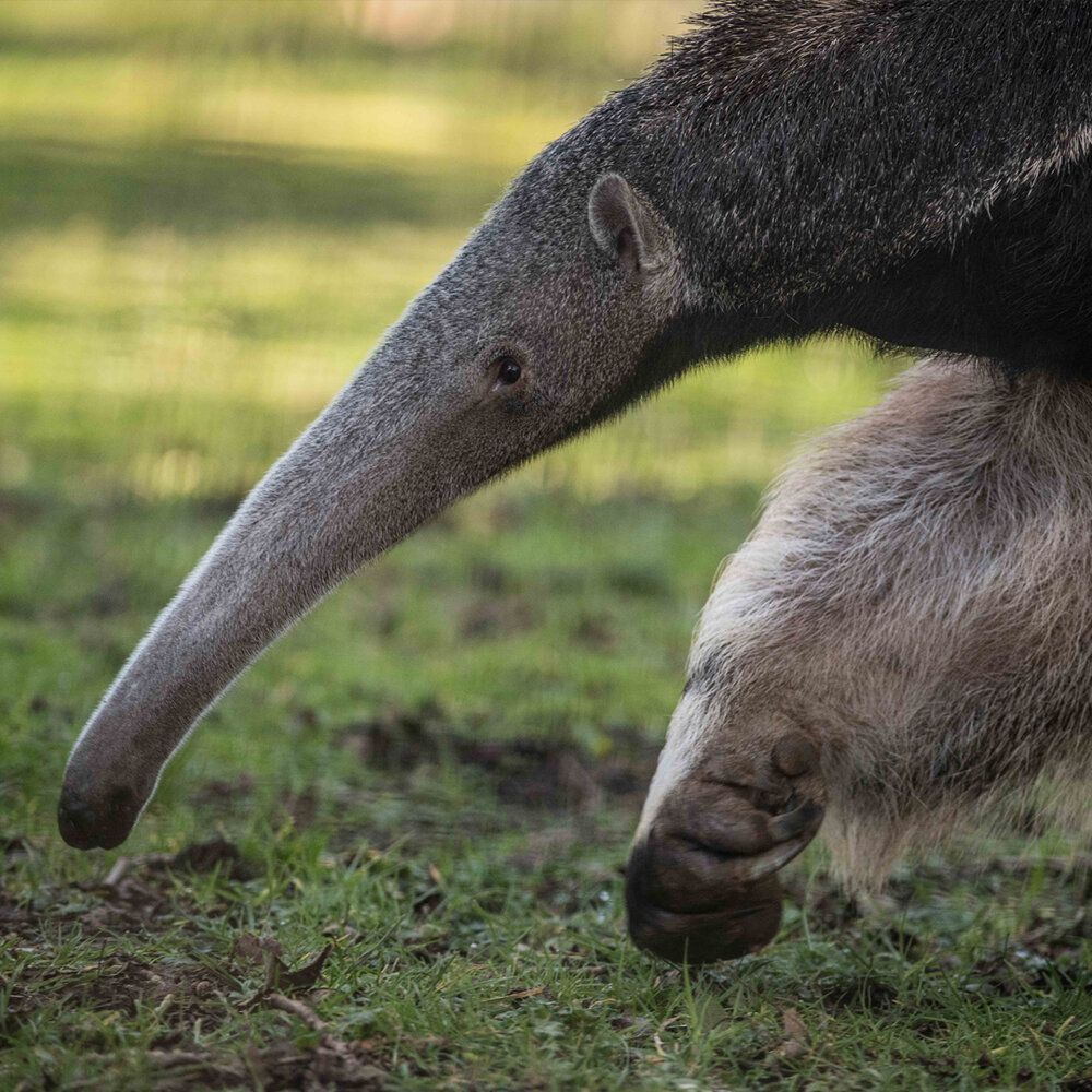 101D7598 B793 4358 A2A5 084BB1E08082