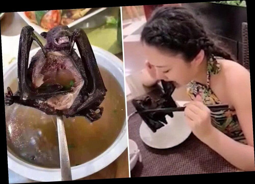 CcelebritiesAF COMPOSITE BAT SOUP e1580205366421