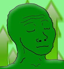 Image result for wojak investing
