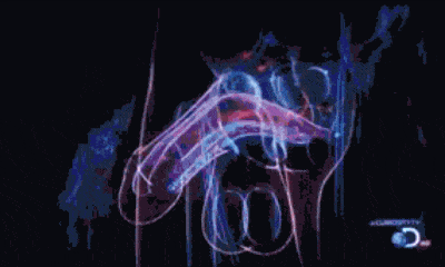9C26F364 B7BE 4EF7 90B0 FF953A33C702