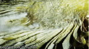Tumblr n340utYhiz1tozyi0o1 400