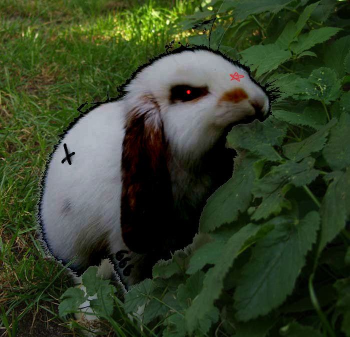 666bunny
