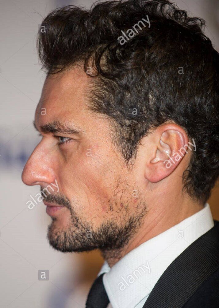 London uk 3rd november 2016 david gandy attends battersea dogs and H7B621