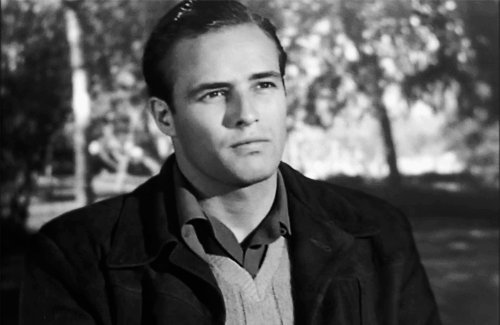 WeakMajesticGallowaycow size restricted