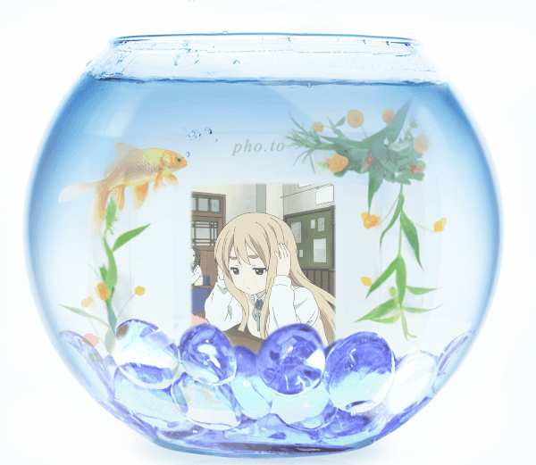 CD9911A4 B4BC 4DE8 9CDB 4F84CC33F70C