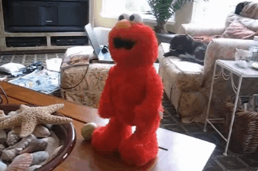 Giphy 6