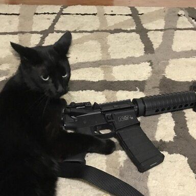 5535