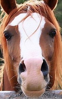 AACD8F18 30A1 4E94 B0E3 5CABA1AF4D73