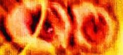 1460168564886 1