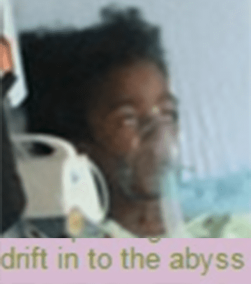 1466233182509