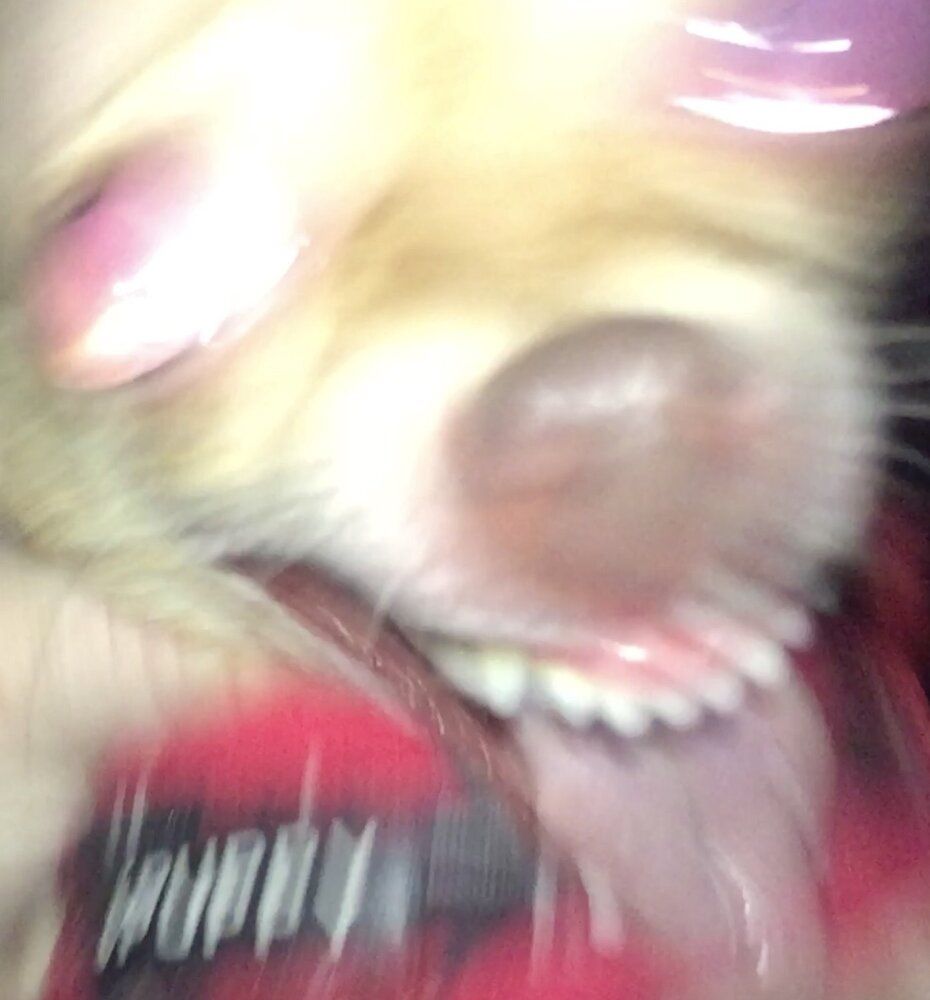 IMG 0017