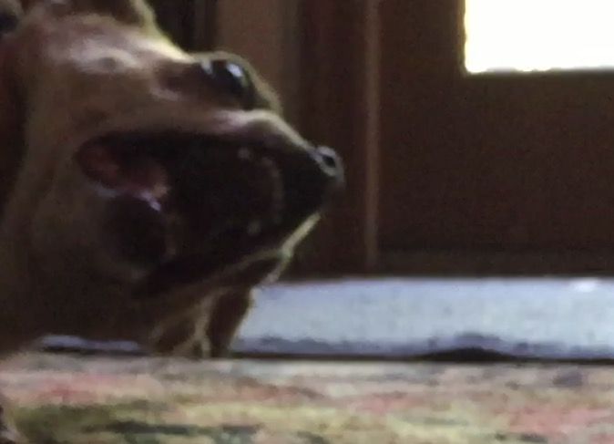 IMG 4341