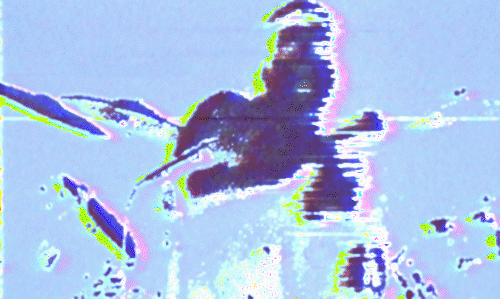 190A1ADE BD3D 49A4 B73C A636AF7F4BBD