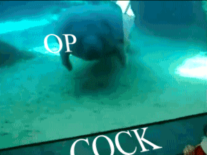 1583667275863.png