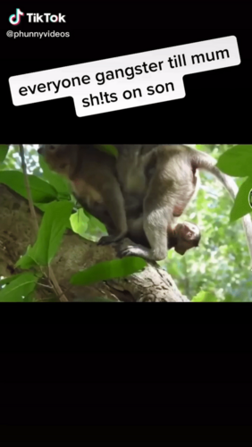 1584271422194.png