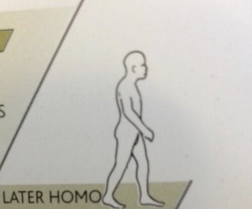 151F62EC 09D6 48FA 9BC0 5B7379D1C3B6