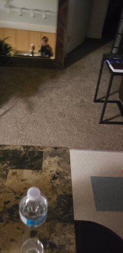 20200314_223138.jpg