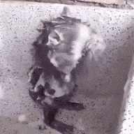 1584612211131.png