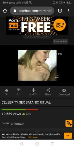 Screenshot_20200323_185232_com.android.chrome.jpg