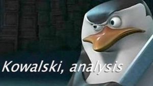 300px Kowalski