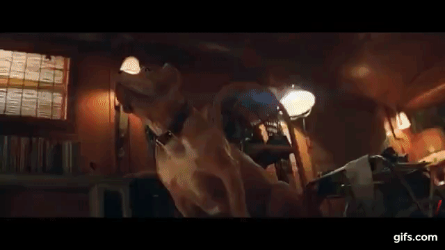 Gif1