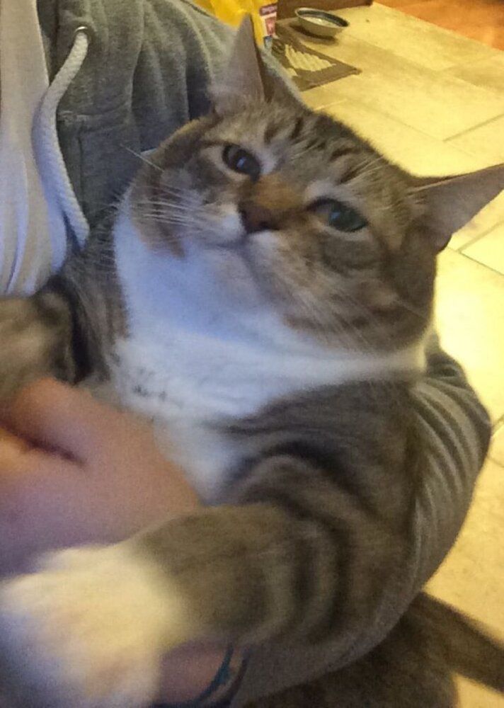 1585155041231