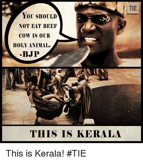 Tie you should not eat beef cow is our holy 18832280