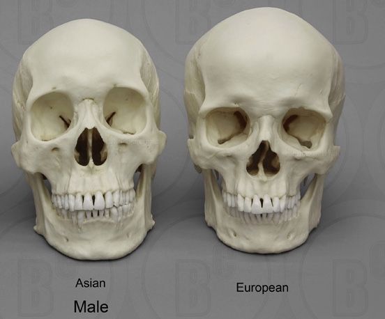 C7B56CF6 A1AA 468A B8BE E724331D5D3A