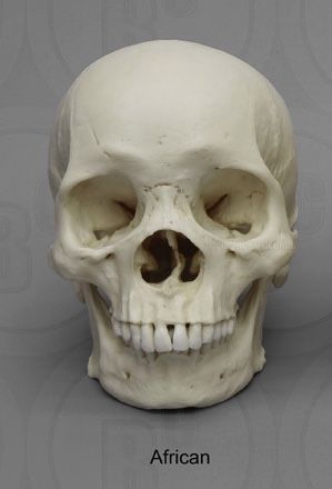 E51843C1 64FE 4F14 90E7 46F686E4ACBC