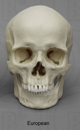 59E750EC 6315 469F 87E0 A83E4B77B040