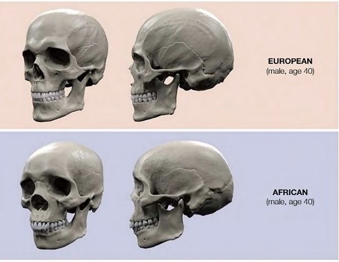 50133A90 ECE6 49B5 944B 601BE52C3054