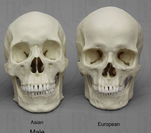 A71D95EC 90FE 422F AF5D 0F9B2BDEB531