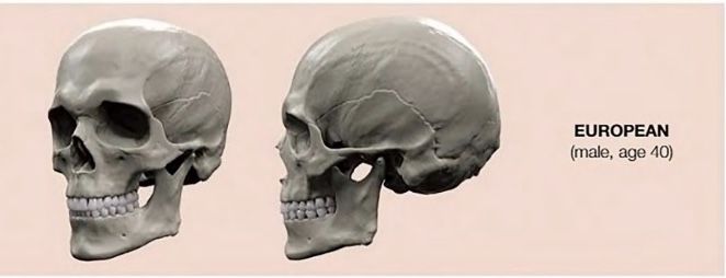 7753C598 D3BA 4F33 BBEB B2ADDB29FD5B