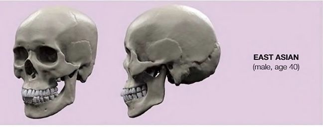 128E2869 03F5 4597 B662 4E806E023F2C