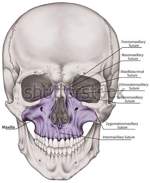 26AF99E5 0547 46D8 B09E 937EF8817917