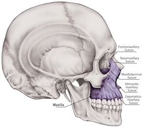 B2B8C4E4 189F 4F7A 87B5 AC08B69FB687