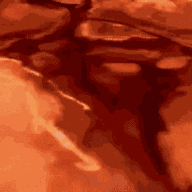 1586054343766