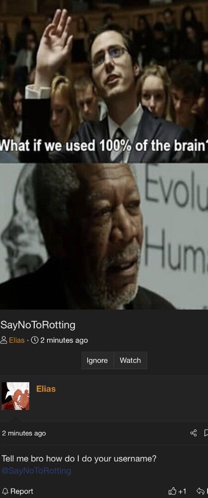 522B3D4E 963A 4BD4 A09D 424528D45B49