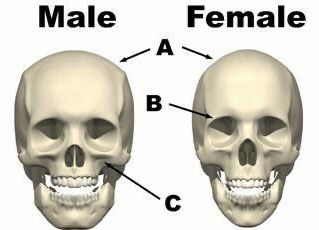 E4C3D389 78BB 46E2 81F8 1663AADF031D