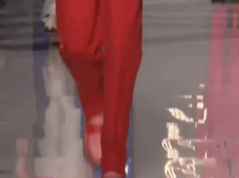 Giphy 1