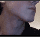 Jaw