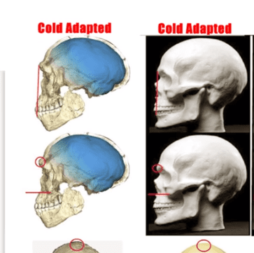 1586191530573