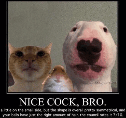 Screenshot 2020 04 07 at 134310