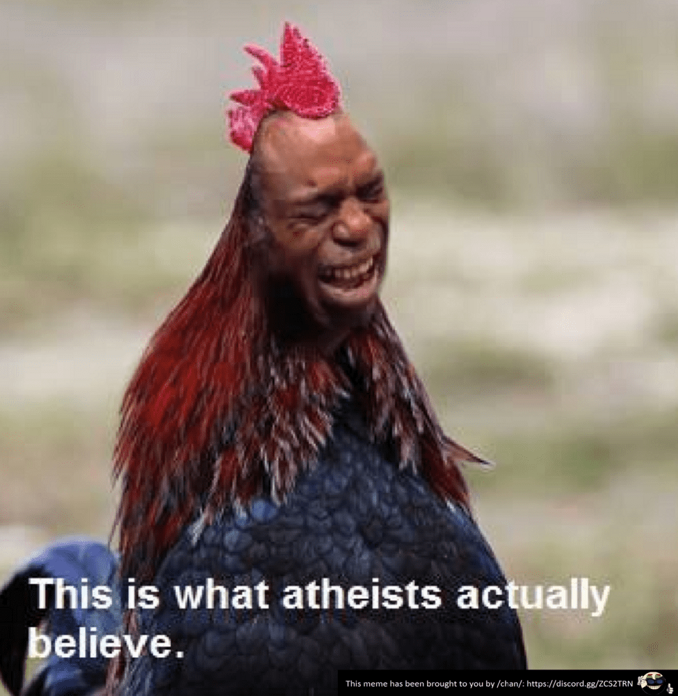 Chicken Evolution