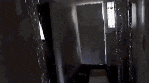 Copsbust