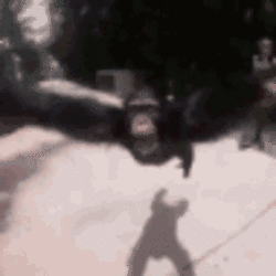 Fast monke