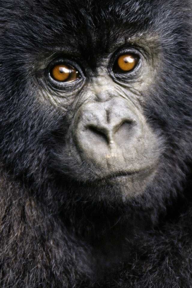 65e60f75602cc3cbb84128329a3b2916